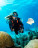 РЕГУЛЯТОР AQUA LUNG HELIX PRO ACD DIN
