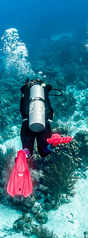 Ласты для дайвинга и плавания Storm Aqua Lung, glacier